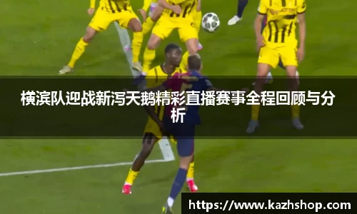 完美体育登录入口